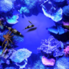 Proiectie interactiva pe perete - imagine 9