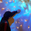 Proiectie interactiva pe perete - imagine 6