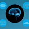 Panou inteligent, interactiv cu tehnologie touchscreen si neurofeedback, whiteboard, WINDOWS 11 - imagine 43