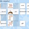 Panou inteligent, interactiv cu tehnologie touchscreen si neurofeedback, whiteboard, WINDOWS 11 - imagine 56